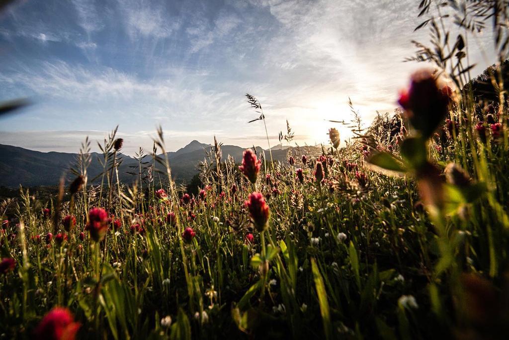 Renaissance Tuscany Il Ciocco Resort & Spa Barga Exterior photo